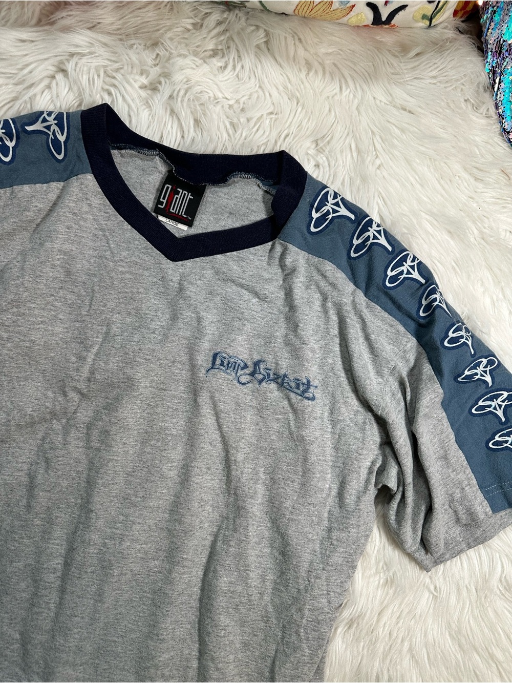 Giant • Vintage 90s Limp Bizkit Band Tee